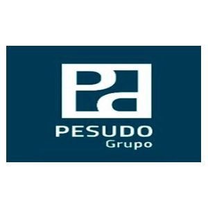 Pesudo Group